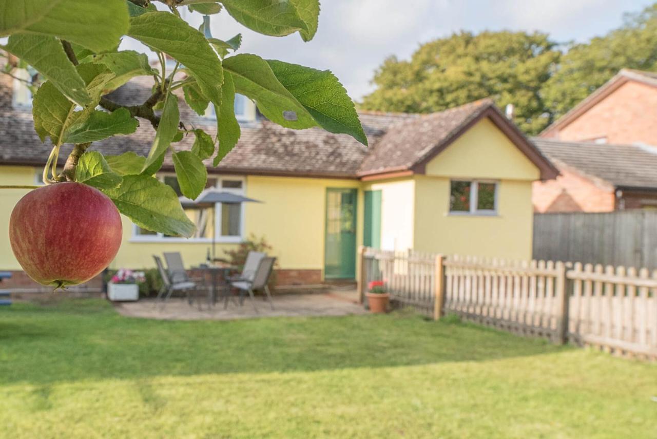 The Spinney Saxtead Nr Framlingham Woodbridge Exterior photo